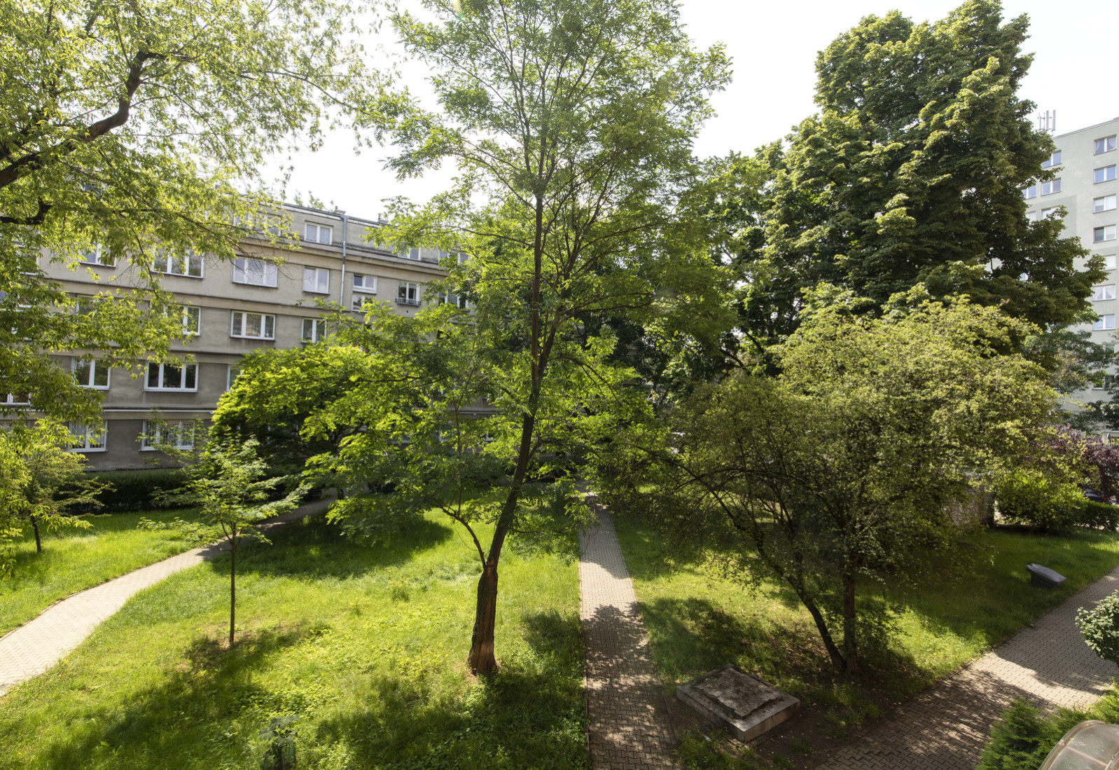 Mieszkanie Wynajem Warszawa Praga-Północ Karola Darwina