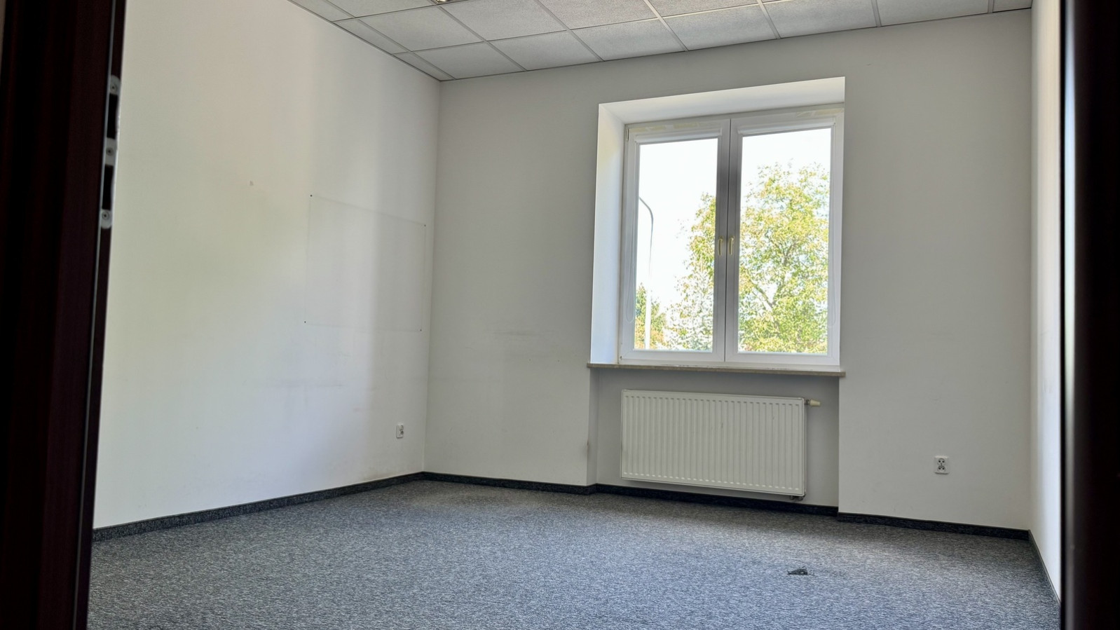 Lokal Wynajem Radom Kazimierza Kelles-Krauza