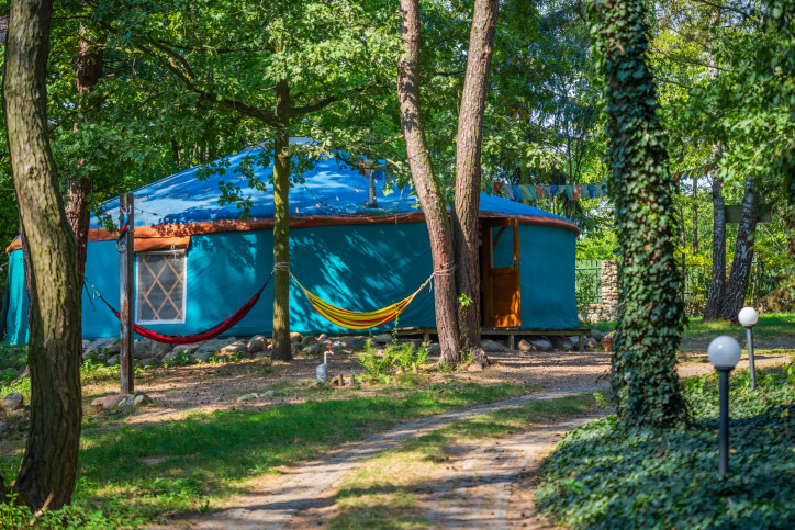 Obiekt Sprzedaż Czerwińsk Nad Wisłą 12