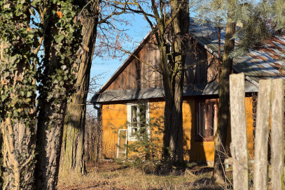 Działka Sprzedaż Borki