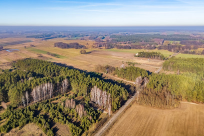 Działka Sprzedaż Borki