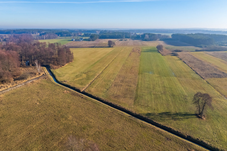 Działka Sprzedaż Borki 19