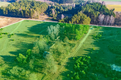 Działka Sprzedaż Borki