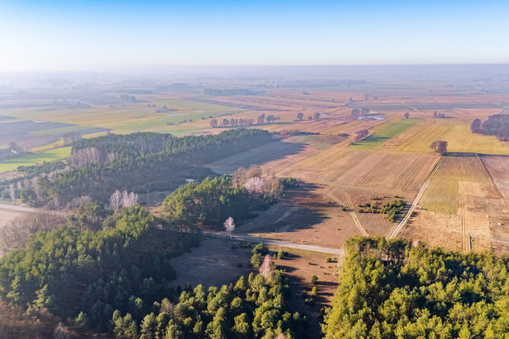 Działka Sprzedaż Borki 21