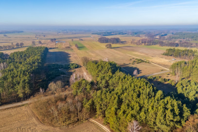 Działka Sprzedaż Borki