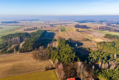 Działka Sprzedaż Borki