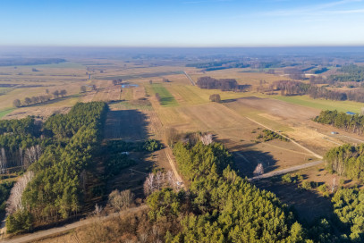 Działka Sprzedaż Borki