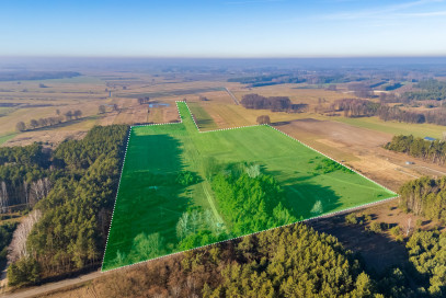 Działka Sprzedaż Borki