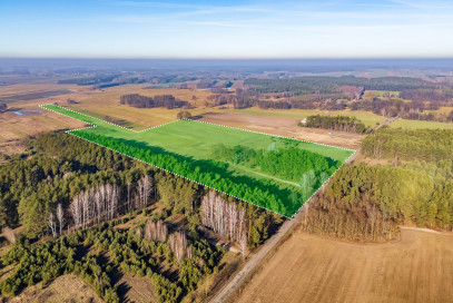 Działka Sprzedaż Borki