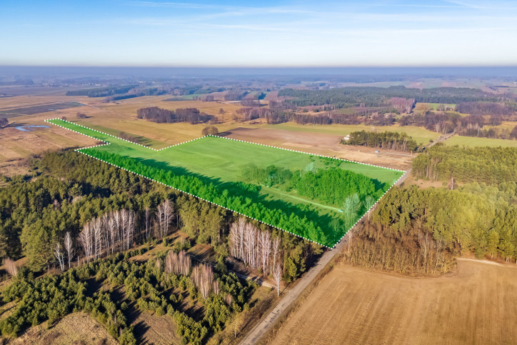 Działka Sprzedaż Borki 2