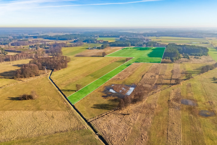 Działka Sprzedaż Borki 3