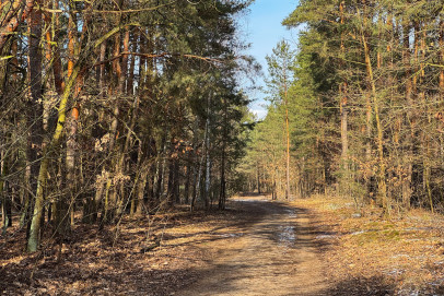 Działka Sprzedaż Warszawa Białołęka Insurekcji