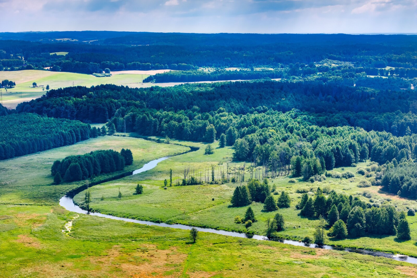 Działka Sprzedaż Mostkowo — zdjęcie 6