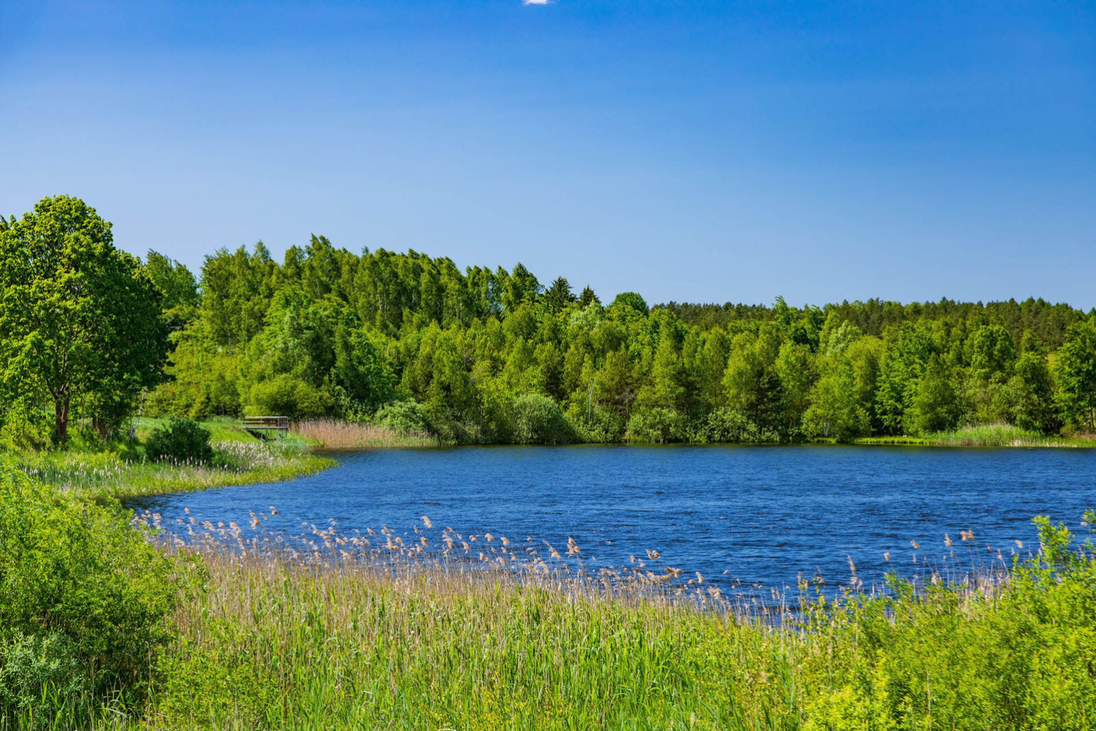 Działka Sprzedaż Mostkowo — zdjęcie 24
