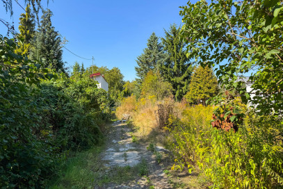 Działka Sprzedaż Michałowice Widok