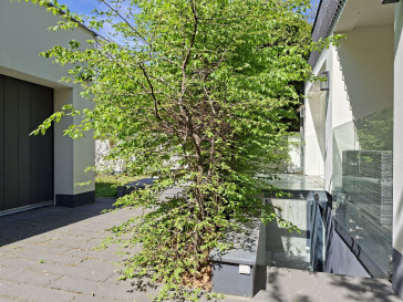 Lokal Wynajem Warszawa Żoliborz Tucholska