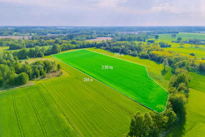 Działka Sprzedaż Kampinos