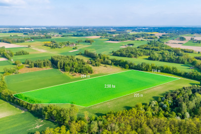 Działka Sprzedaż Kampinos