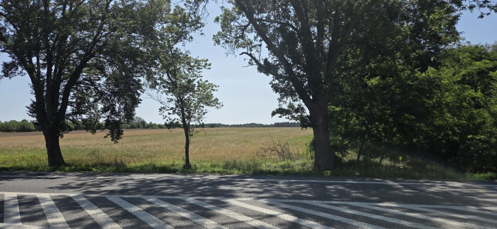 Działka Sprzedaż Jagodne 2