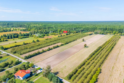 Działka Sprzedaż Stare Orzechowo