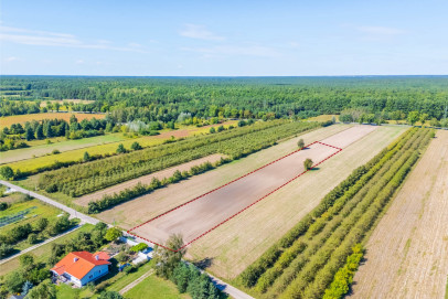 Działka Sprzedaż Stare Orzechowo