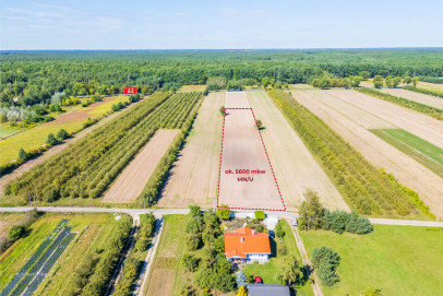 Działka Sprzedaż Stare Orzechowo